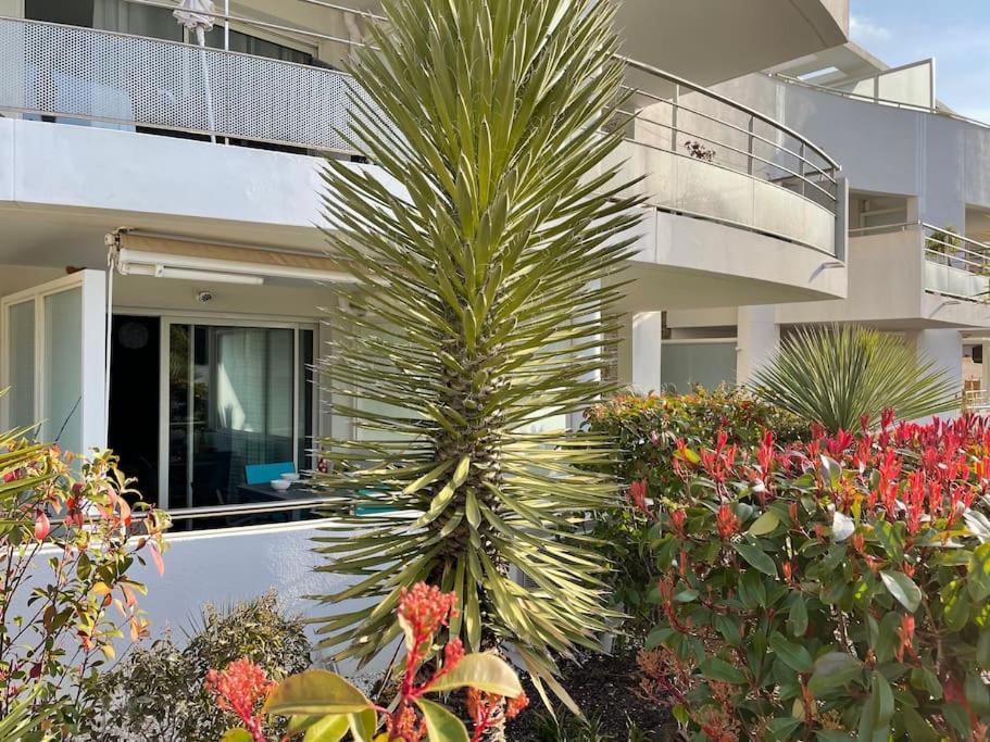 Appartamento 21 - Tres Agreable Rdc Avec Terrasse Et Parking Bandol Esterno foto