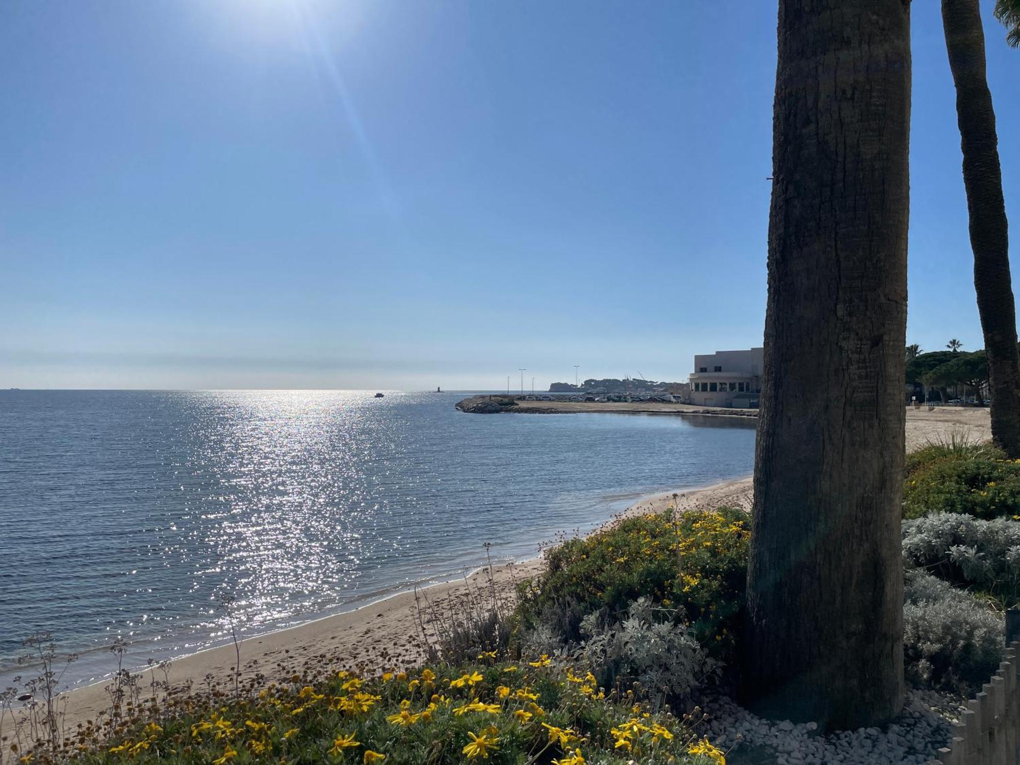 Appartamento 21 - Tres Agreable Rdc Avec Terrasse Et Parking Bandol Esterno foto