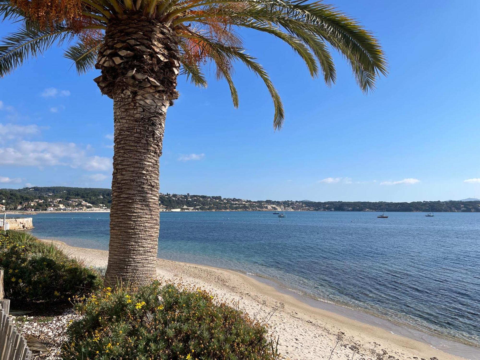 Appartamento 21 - Tres Agreable Rdc Avec Terrasse Et Parking Bandol Esterno foto
